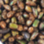 Beetle Crunch Treat exotic Pet