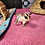 Thumbnail: Columbia - Adult Female Sugar Glider PRICE $195