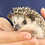 Thumbnail: Beans - Female Hedgehog PRICE $350