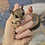 Thumbnail: Bub- Flying Squirrel Baby Male PRICE $900