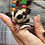 Sugar Glider for sale